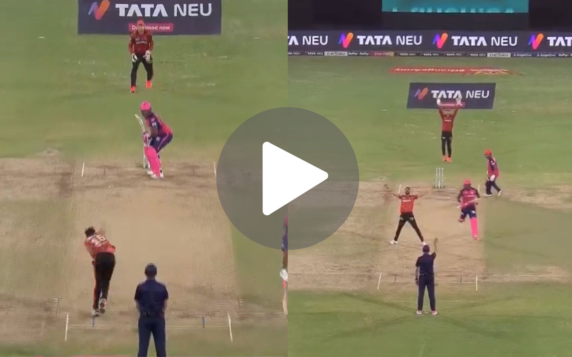 [Watch] Bhuvneshwar Kumar Hands RR Major Upset; Traps Powell For A Cinematic Finish For SRH